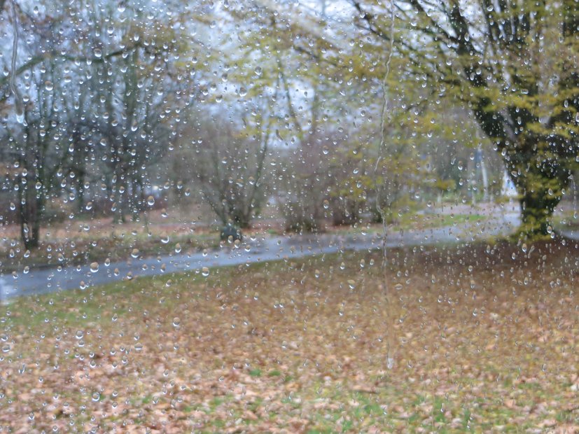 Sturm und Regen begleiten den Tag